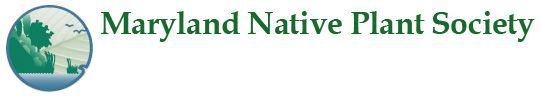Certified Chesapeak Bay Landscape Professional Member, American Horticultural Society