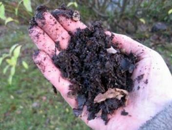 fertilizer from leaf mulch