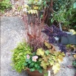 winter garden flower arrangement
