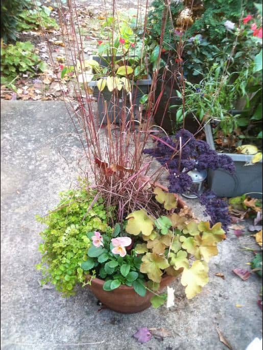 winter garden flower arrangement