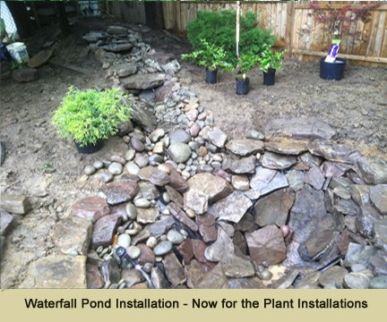 Waterfall Pond Project - Now it's Time for the Plant Installations