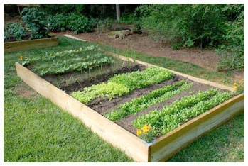 Raised Garden Beds Advantages 1
