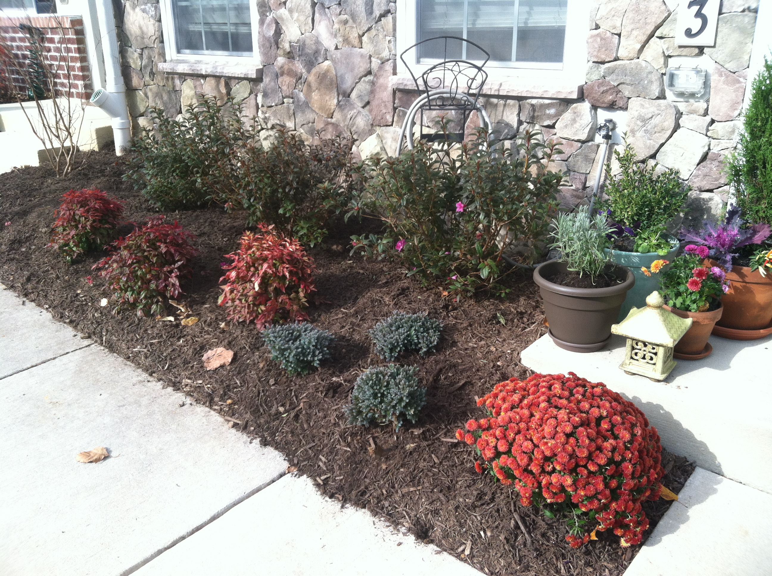 New landscaping can be beautiful and low maintenance.