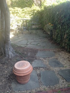 New Federal Hill Backyard Before Pic