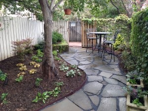 New Federal Hill Backyard After