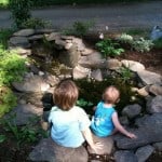 Pond Installation