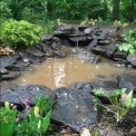 Pond Installation Before the Water Clears