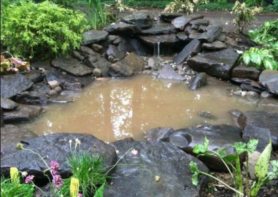 Pond Installation Before the Water Clears