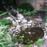Waterfall Stream Now Mossy