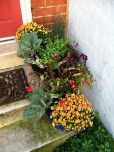 Fall Containers - Ellicott City Fall Landscaping - Lauren's Garden Service and Native Plant Nursery
