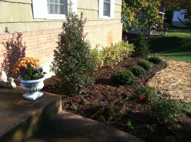 New Low Maintenance Landscape