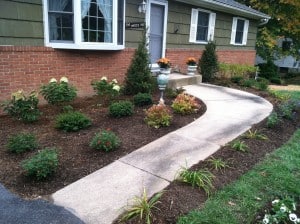 Low Maintenance Landscape After