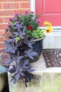 Fall flower container - Ellicott City Fall Landscaping - Lauren's Garden Service and Native Plant Nursery