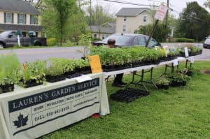 Native Plant Sale at Mothers Day Out of Westchester