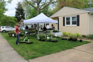 Shop a nice selection of native plants in Howard County