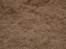 Is Mulch Safe for My House?