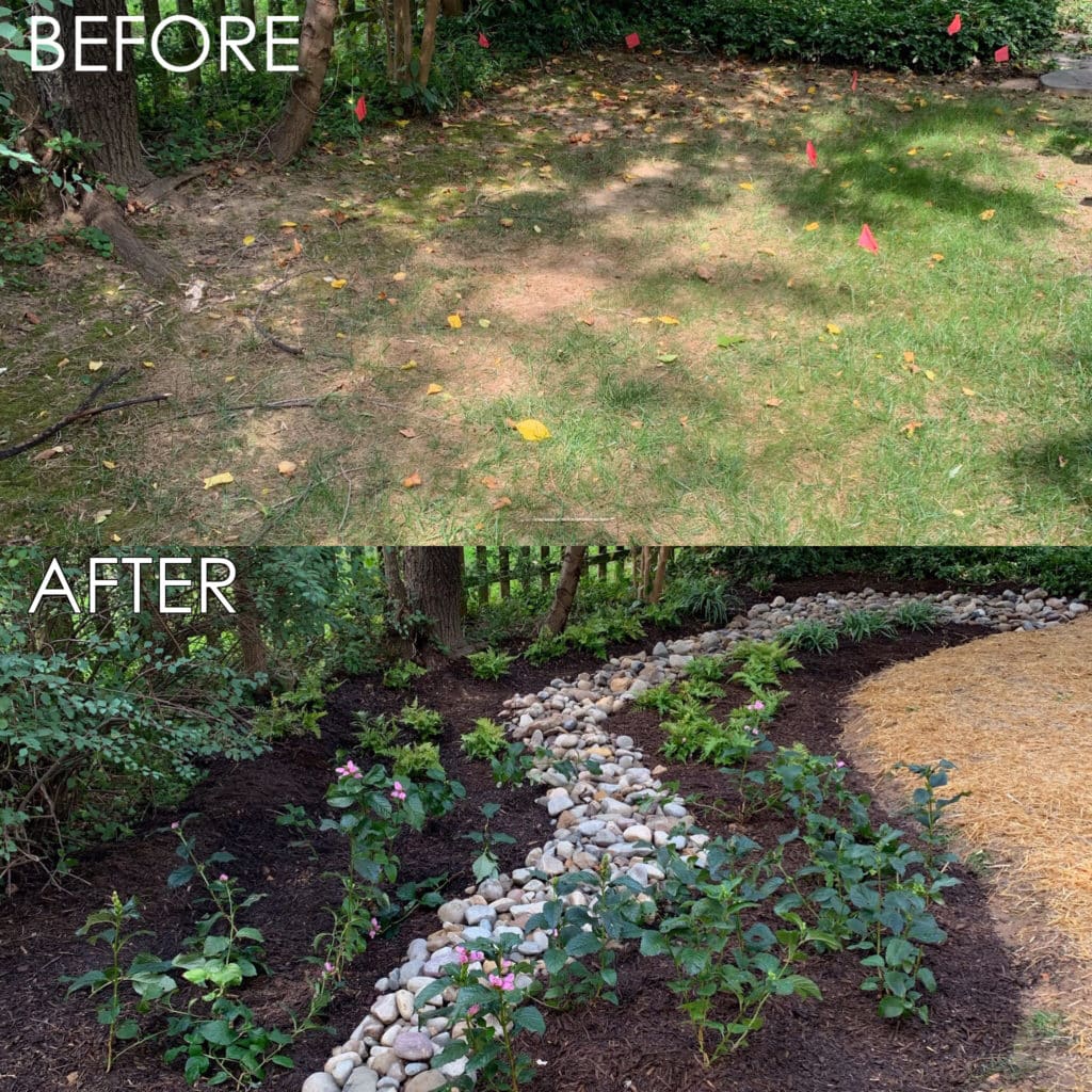 shade and deer resistant rain garden