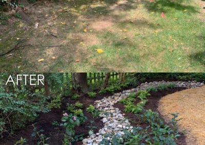 Rain Garden Before and After