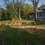 Raingarden