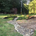 IMG 06241
