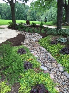 rain garden install