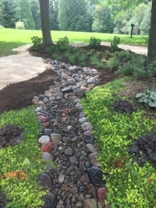 Rain garden install progress