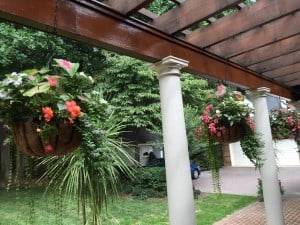 Hanging Baskets