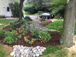 Rain Garden, Howard County