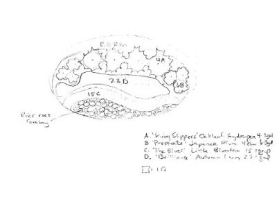 client rain garden design