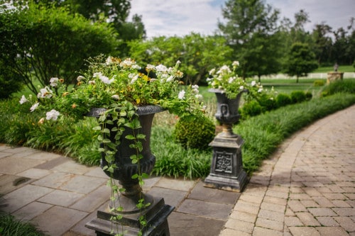 Container Gardens are Great for Adding Character to Small Spaces