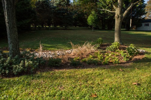 Rain Garden Care