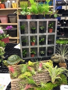 1003244_10153119221326199_8660787244411972190_n