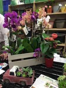 10404_10153119221371199_8411966055208031330_n