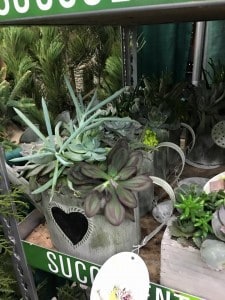 10583840_10153119221731199_2796168669627477604_n