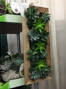 12495164_10153119221711199_430190076380613877_n