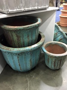 12508730_10153118960616199_4133666089061242955_n