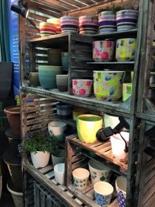 12508835_10153119036306199_7233006425349847130_n