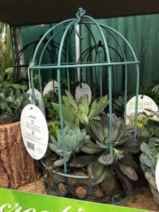 12508842_10153119221486199_4333090267578293982_n