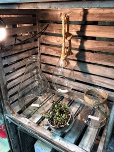 1796464_10153119035661199_9050888771239775698_n