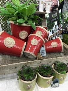 535345_10153118960661199_172099625302621720_n