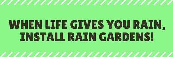 When Life Gives You Rain, Install Rain Gardens!