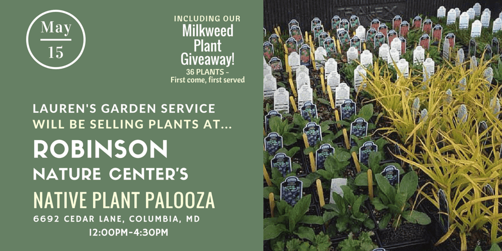 LGS Native Plant Sale at Robinson Nature Center