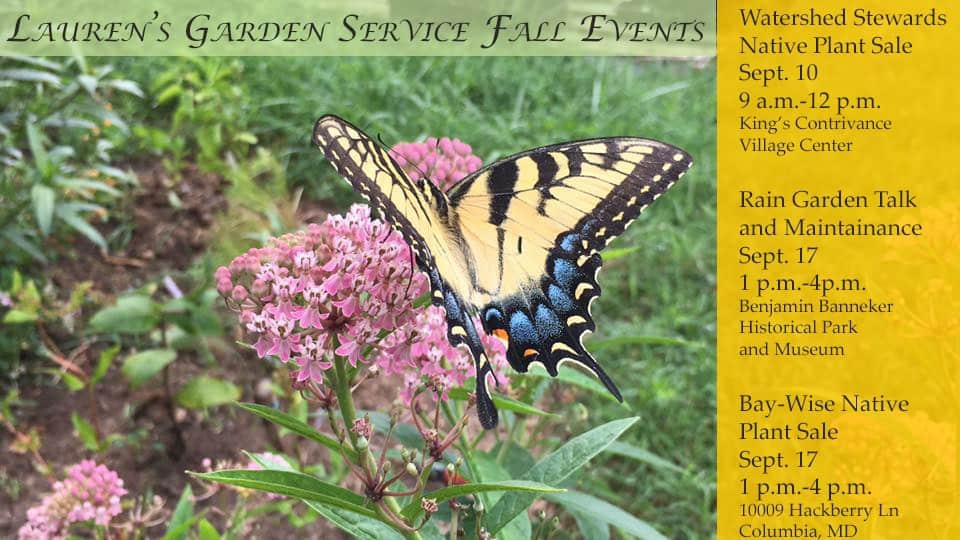 Fall Events