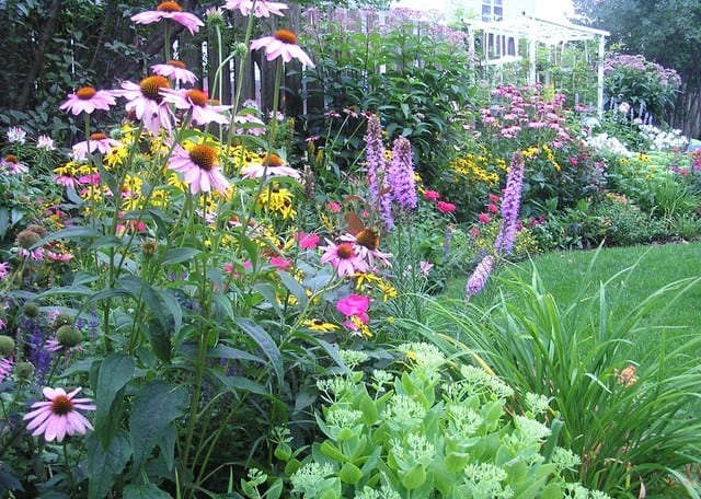 Winter Garden Preparation Perennials Landscape Design Installation Maintenance And Native Plant Nursery Lauren S Service Winter Garden Preparation Perennials, How To Prepare A Perennial Garden For Winter