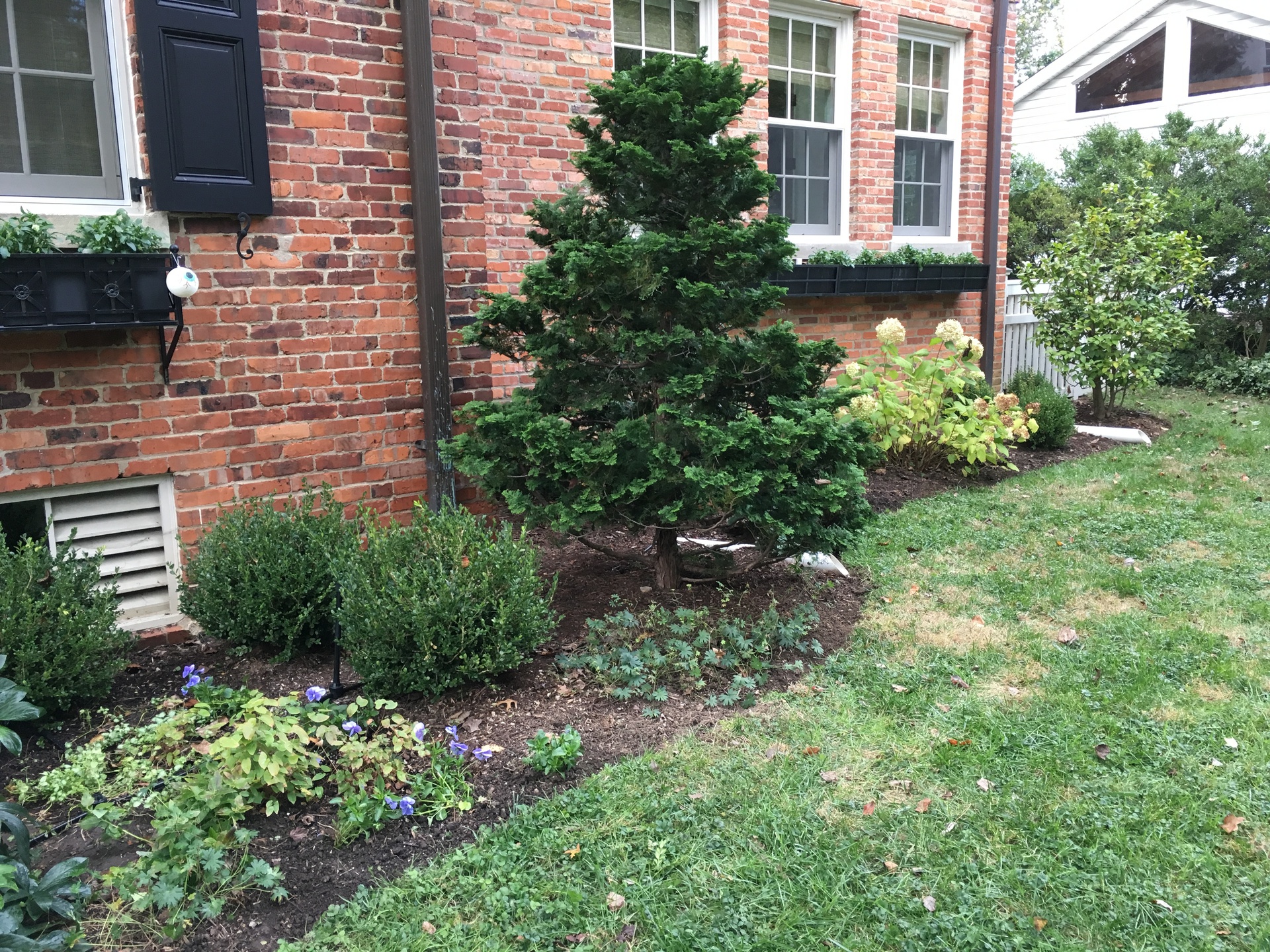 Bethesda Fall Landscape Maintenance - Landscape Design, Installation ...