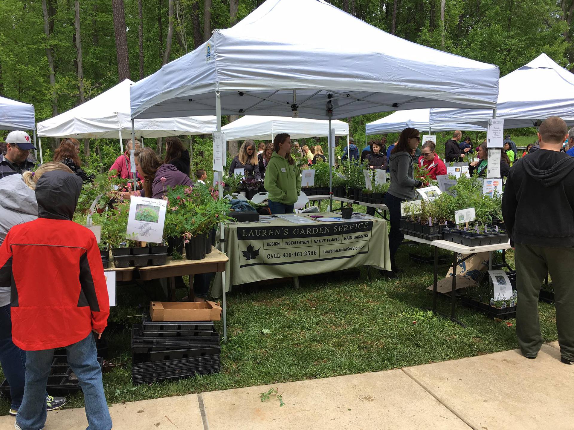 Spring 2020 Native Plant Sales - Lauren's Garden Service & Native Plant ...