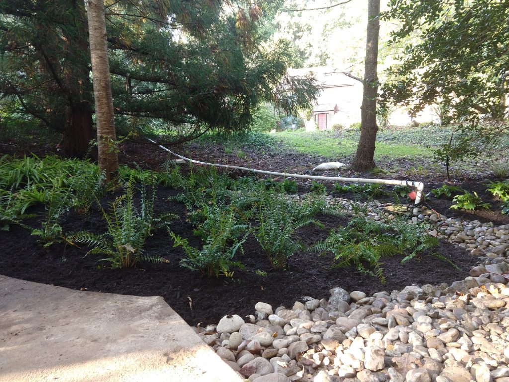 Columbia Rain garden