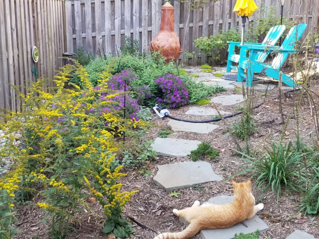 pollinator garden fall