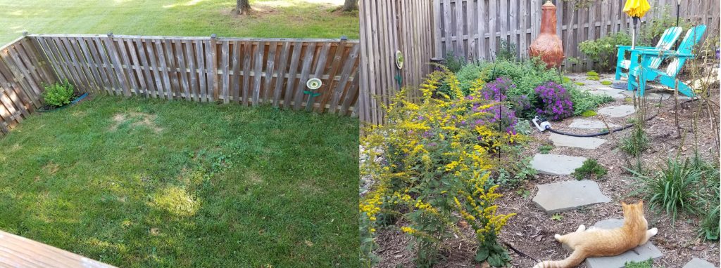Pollinator Before After