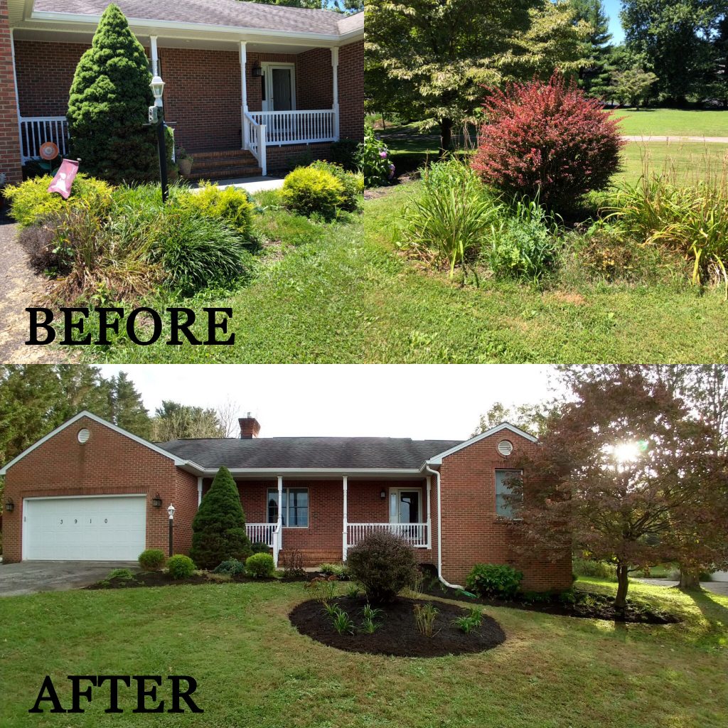 landscape renovation